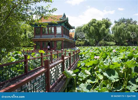  龍潭公園、緑豊かな風景と歴史的な建造物で心を癒す！